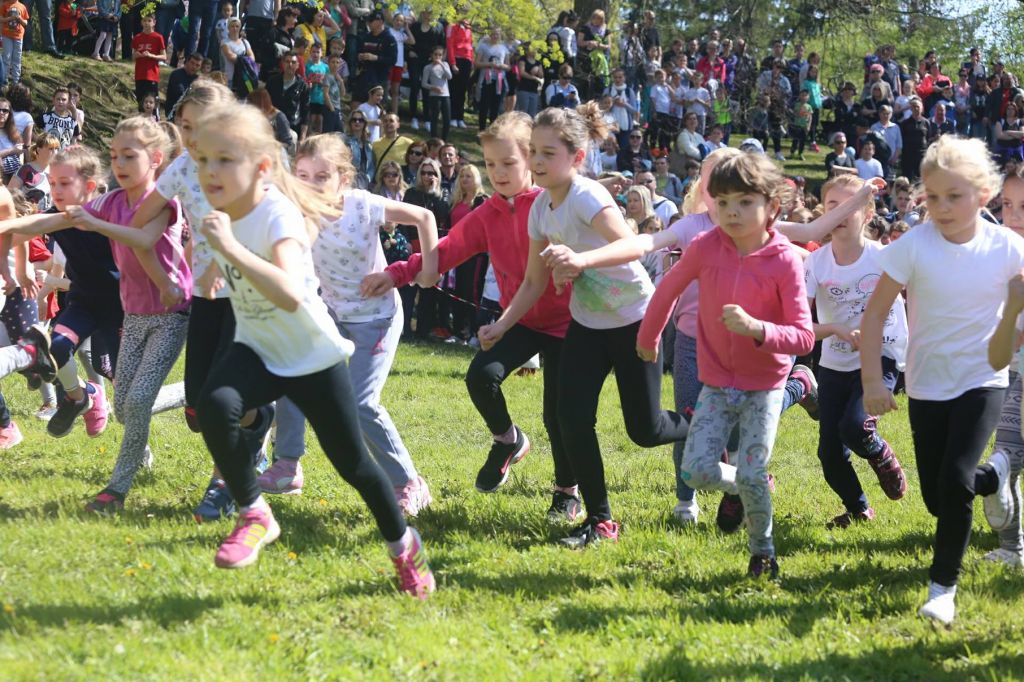 3070497110214802846561700177502