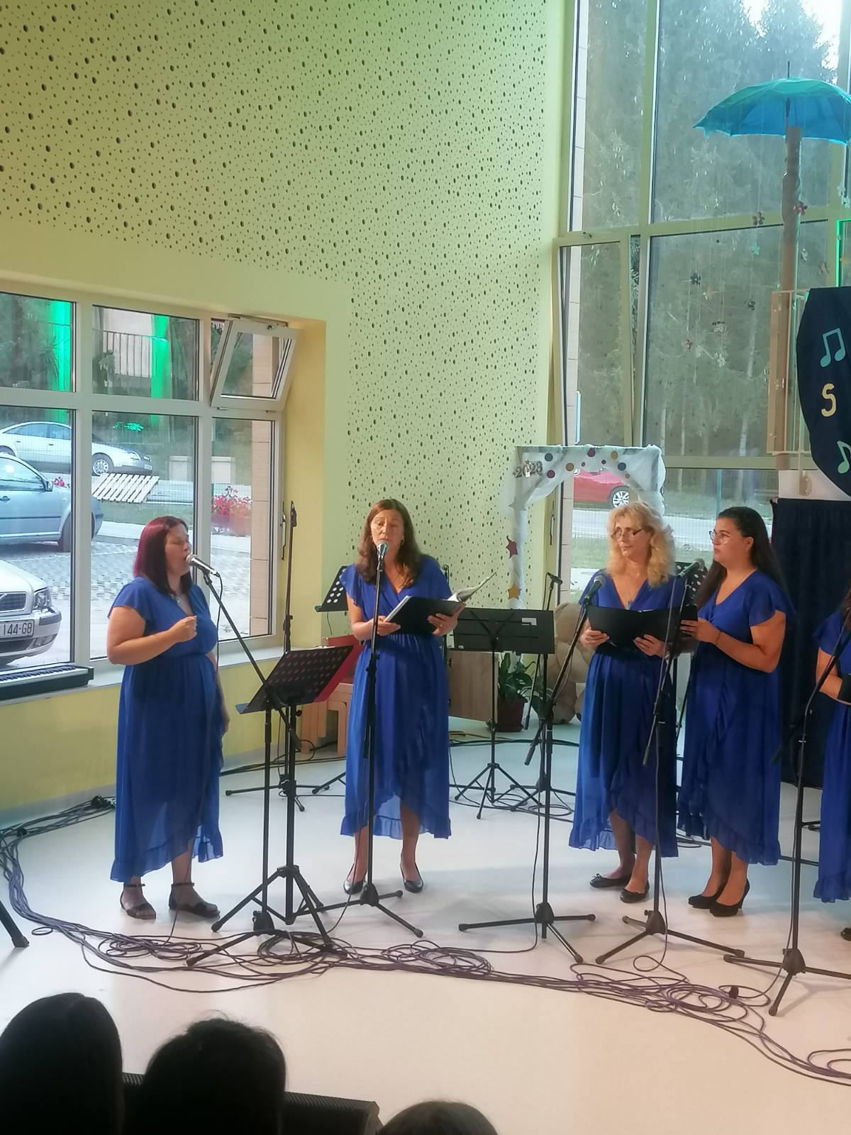 Image 5833265 (auto)