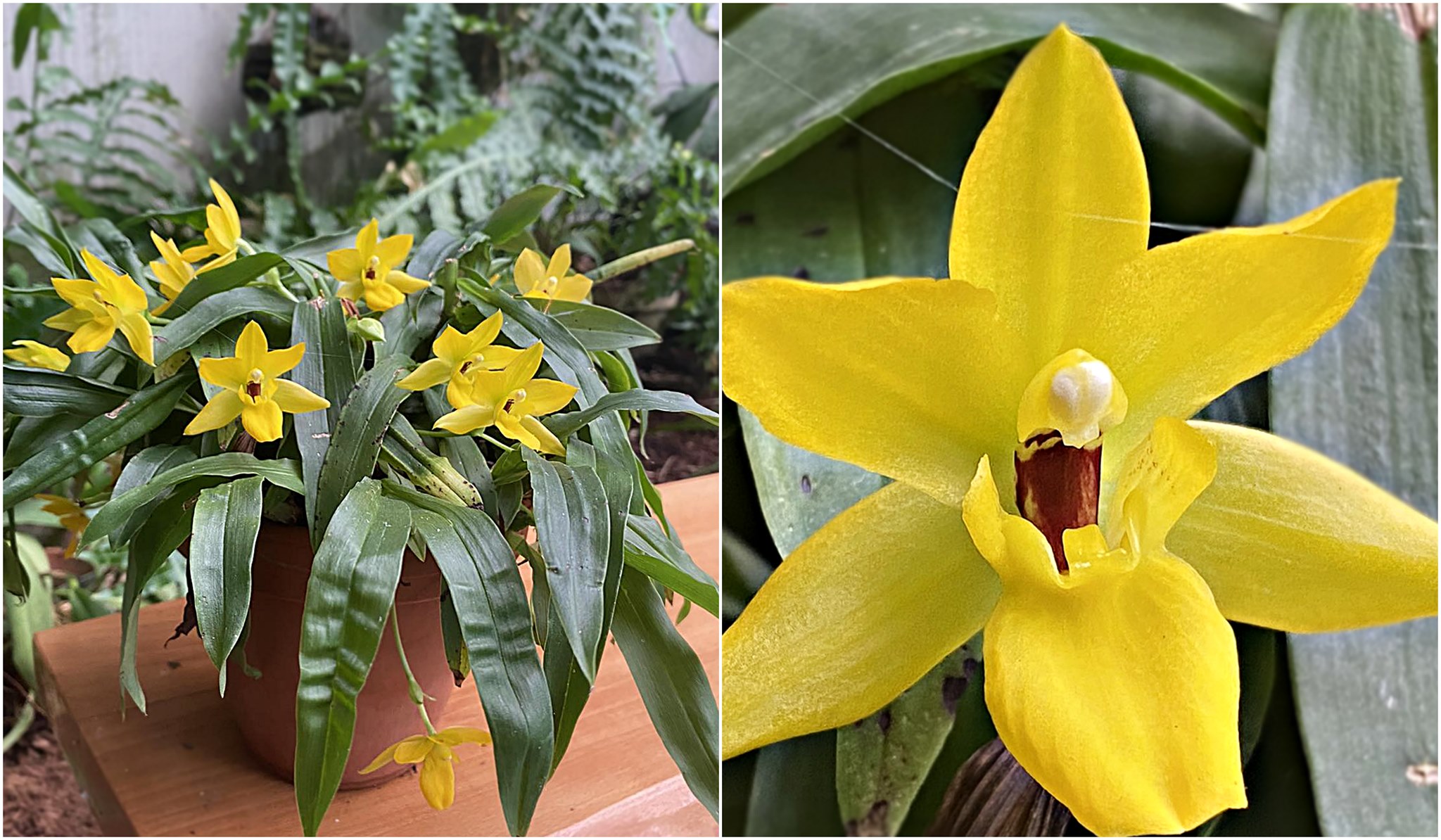 Image 5818415 (auto)