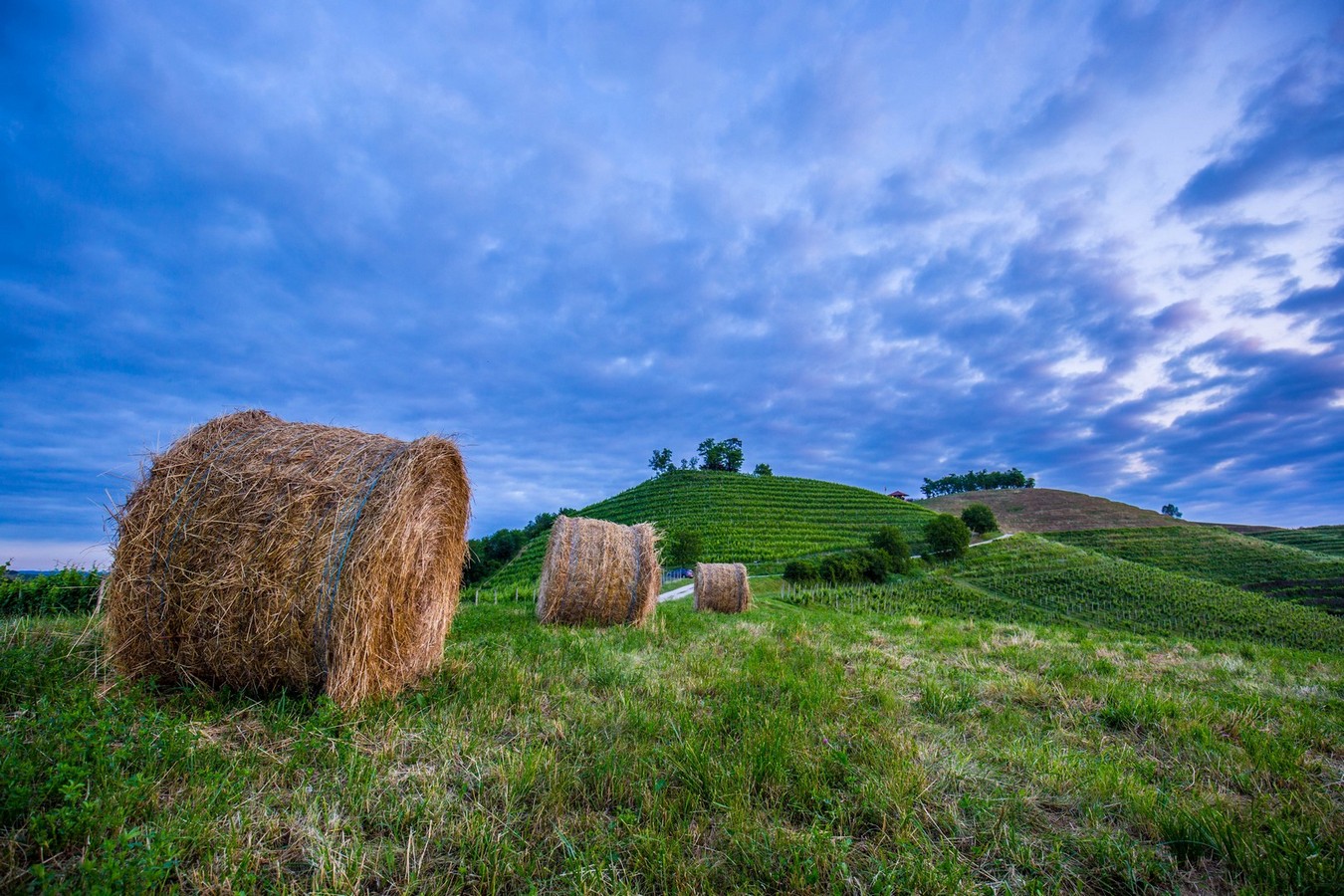 Doček ljeta na Mađerkinom bregu
