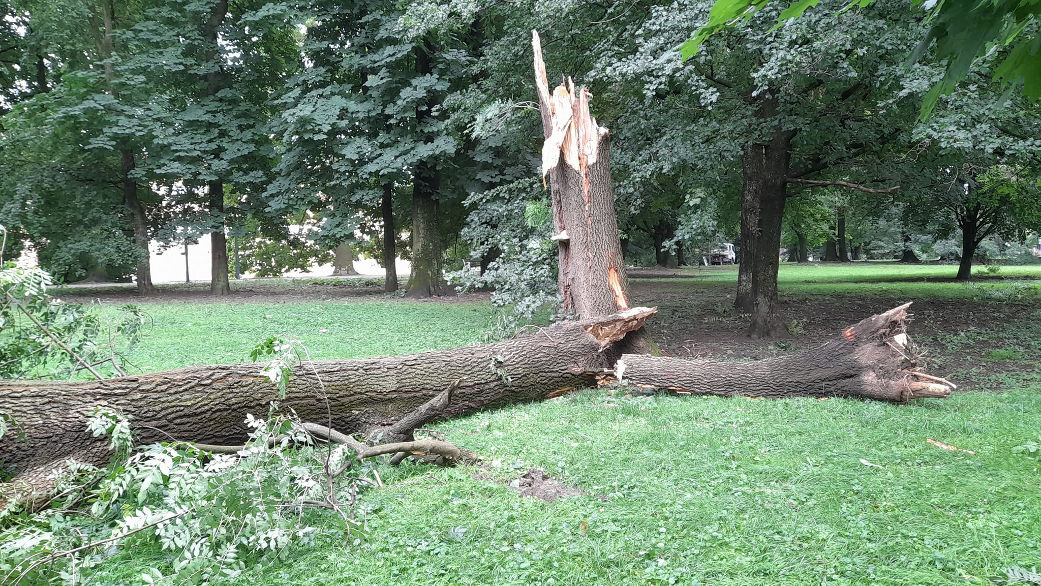 NAŠI VATROGASCI Tijekom jučerašnjeg nevremena imali su oko 50 intervencija