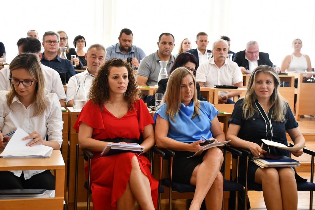 Sjednica Županijske skupštine