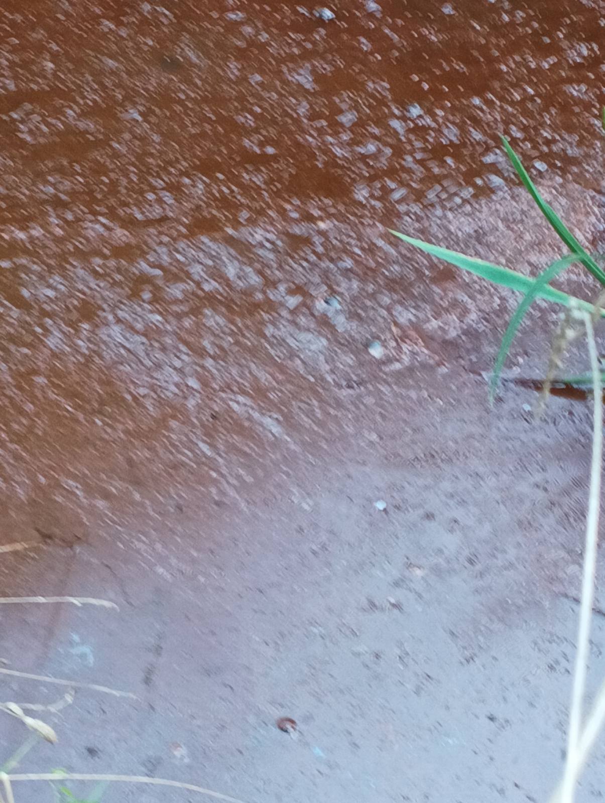 Pomor ribe u Donjem Hrašćanu