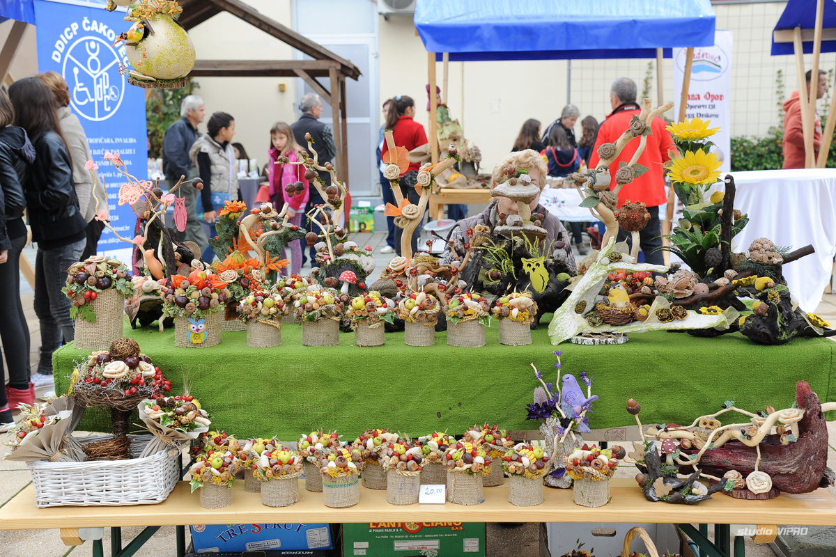 258110174dsc7453686118