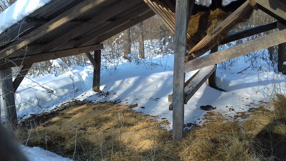 2837833910211604810537450295433