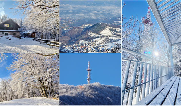 Image 5565689 (auto)