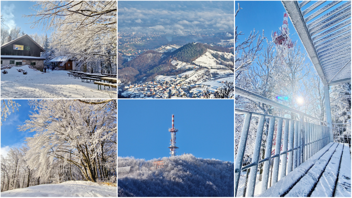 Image 5565689 (auto)