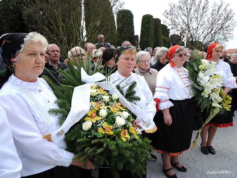 342714813dsc5407996128