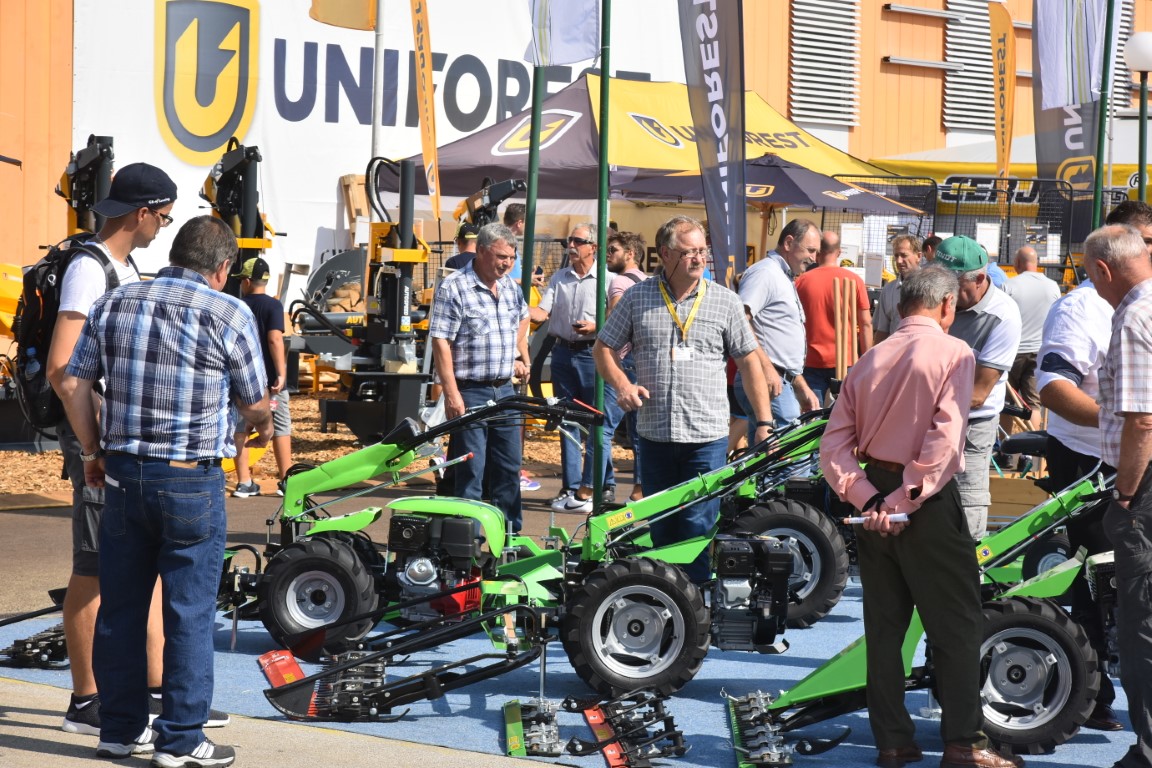 Image 5803691 (auto)