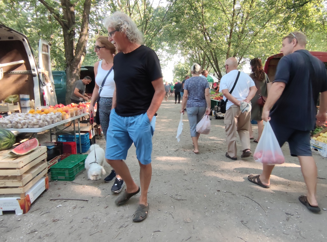 Image 5810843 (auto)