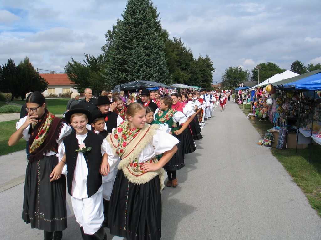 danikotoribe015814343