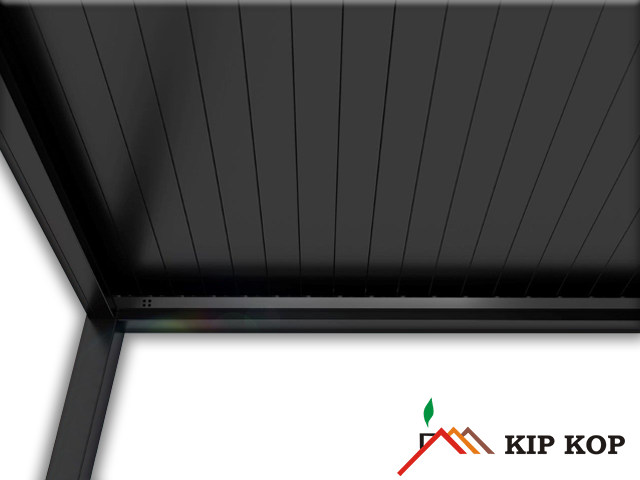 Image 5740855 (auto)