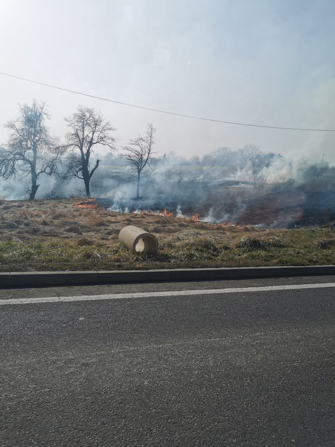 Požar u Železnoj Gori