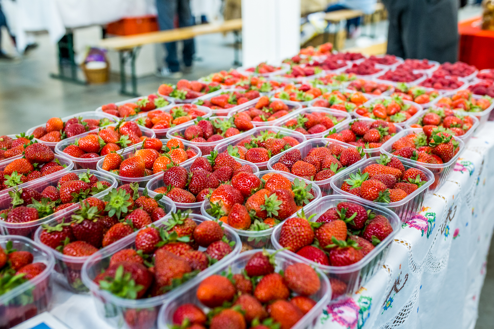 Treći Regionalni plac na Mesapu u Nedelišću ponudio domaće i najbolje