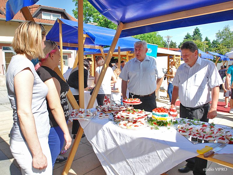 353815377dsc06211376627