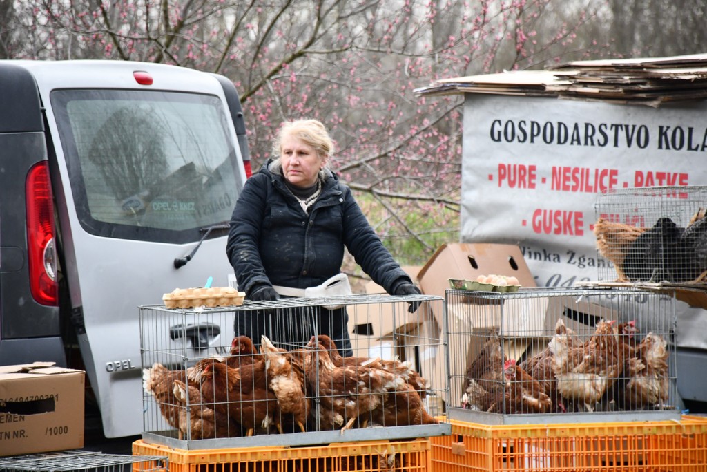 Prohladno jutro na čakovečkom sajmu, no bogata ponuda nije izostala