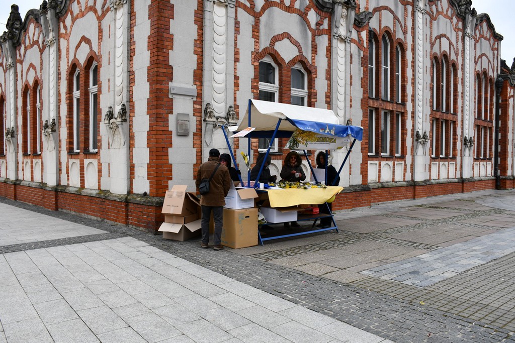 Dan mimoza u Čakovcu