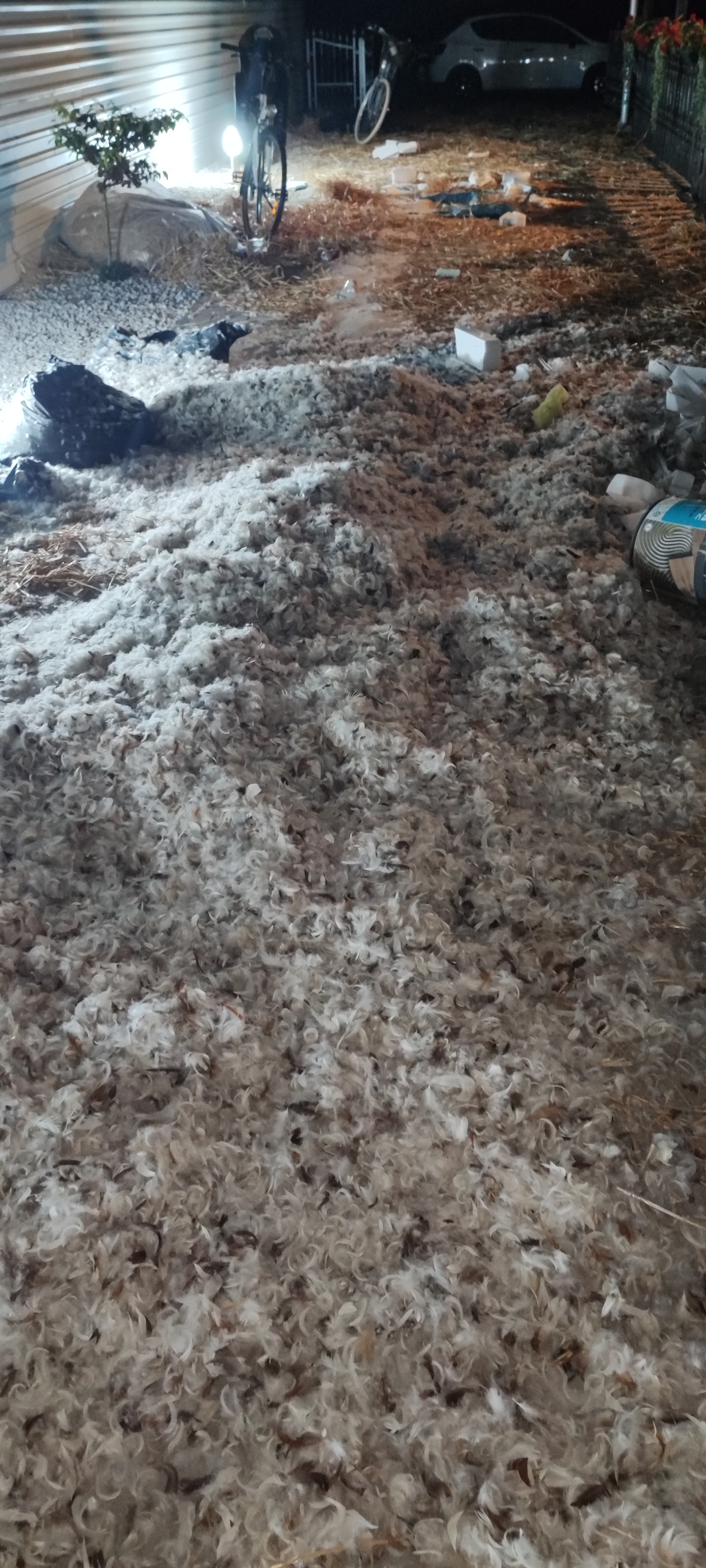 Potepanje u Goričanu