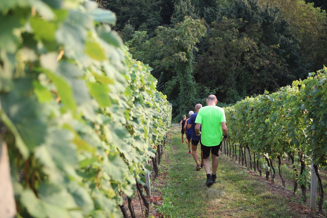 Drugi Gorički trail u organizaciji obitelji Hažić