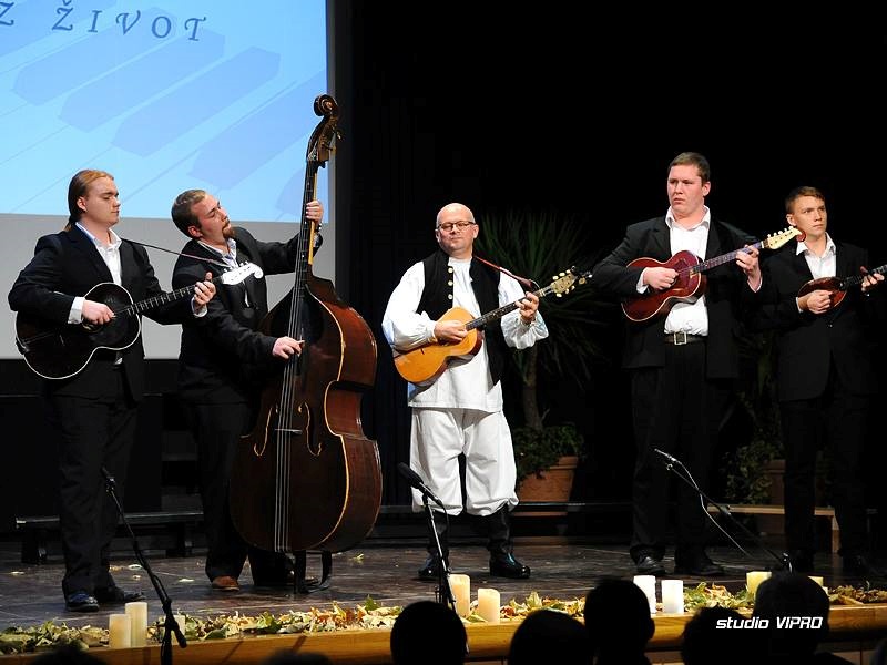 veceruztamburicu2573722