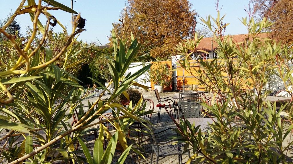 20151030124214844982