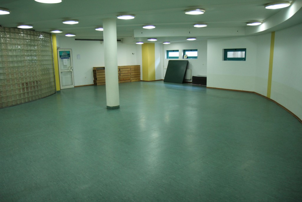 dvoranazagrupneprograme2custom7