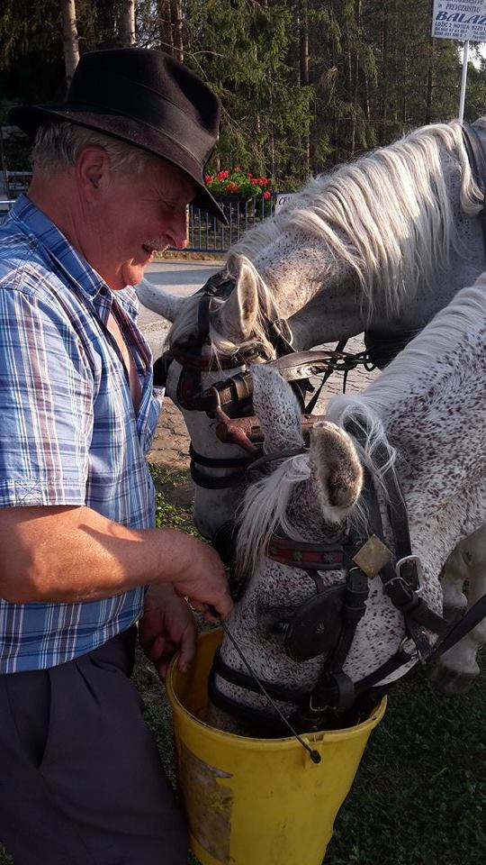 1119902110203225079266673341236