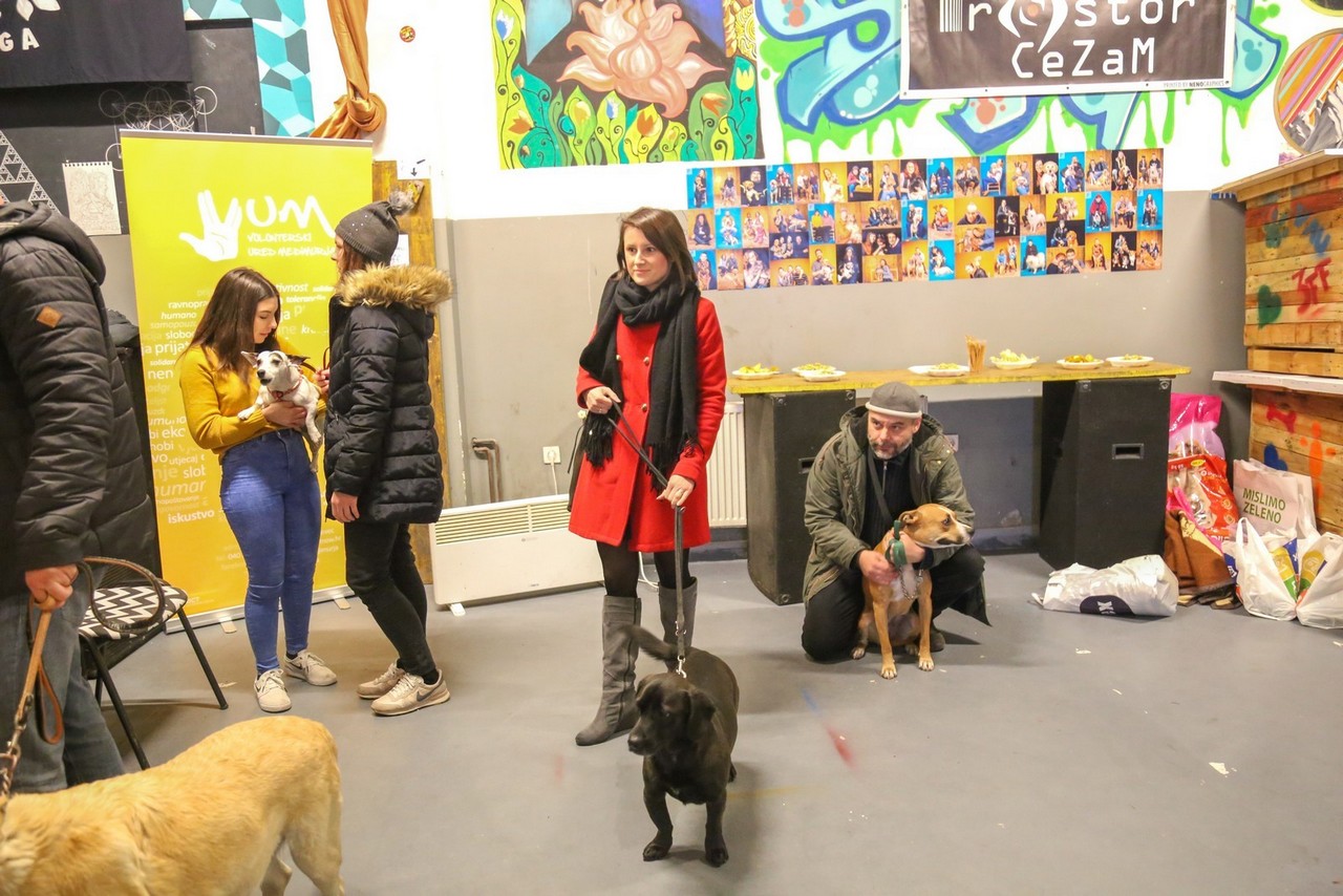 Humanitarno fotkanje s ljubimcima za pomoć azilu Prijatelji Čakovec