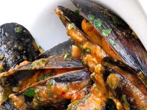 dagnjenabuzaru161598