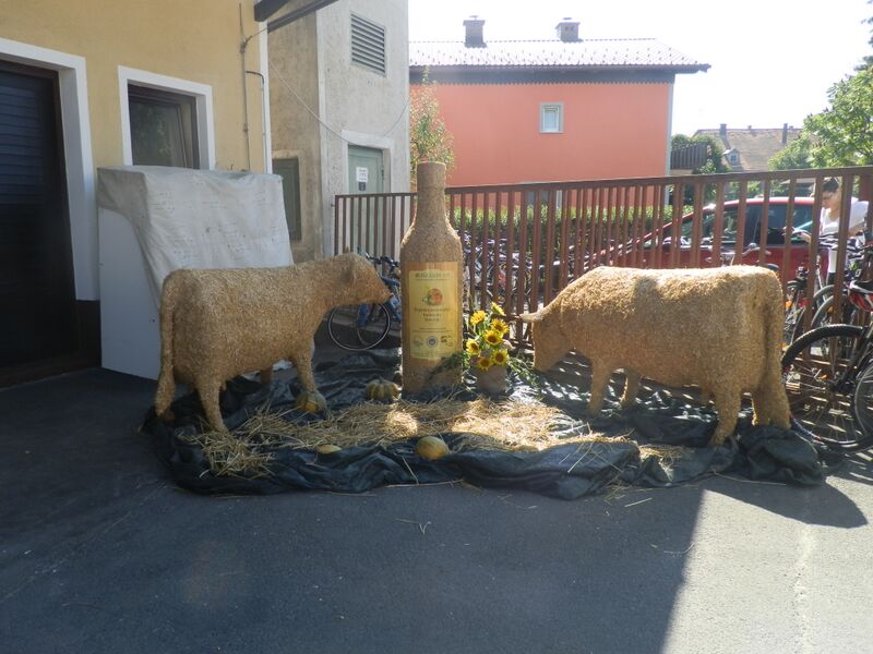 rooajmn9yfiqyb2kiwqaiocerwznz4y