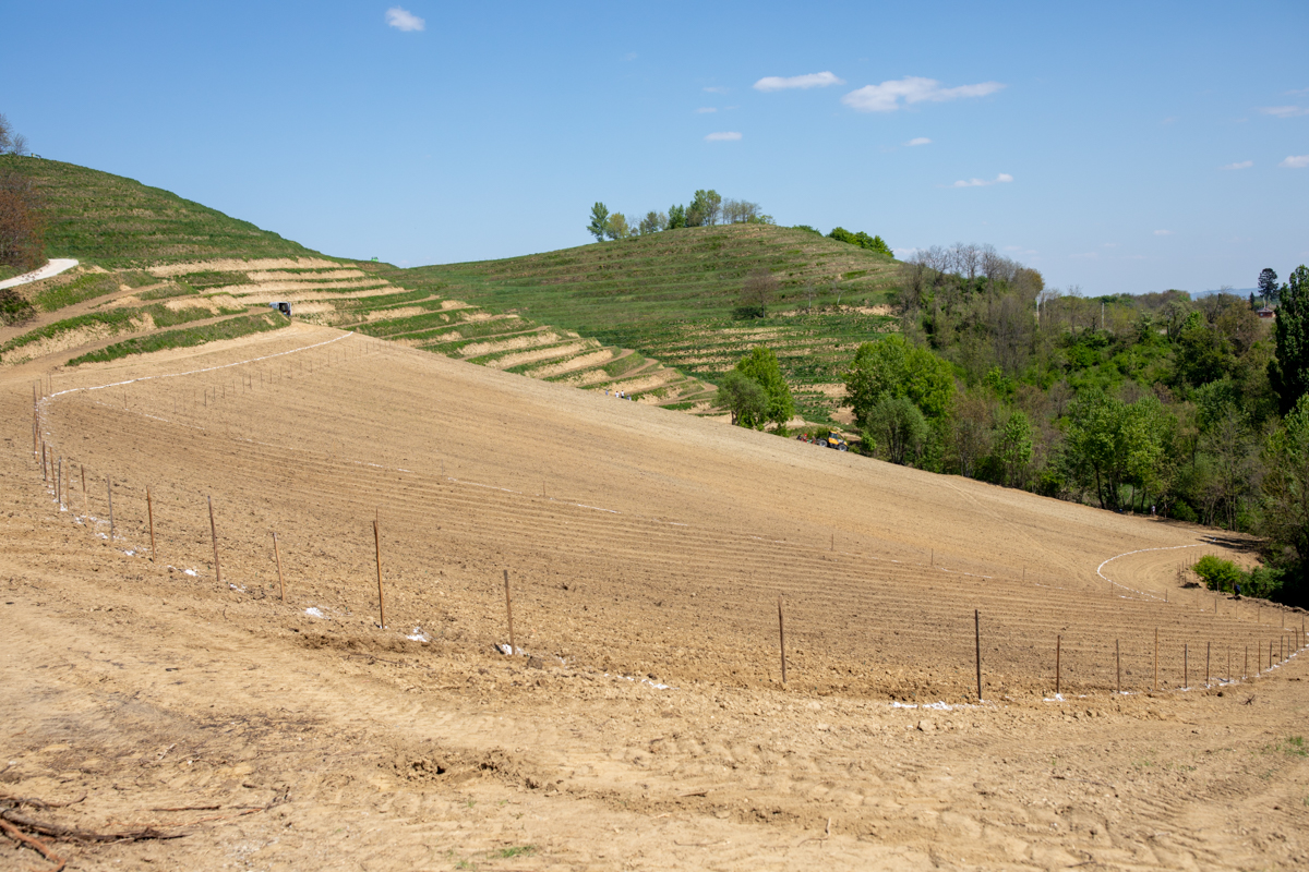 Vinarija Štampar na Mađerkinom bregu zasadila 14 tisuća čokota Pušipela