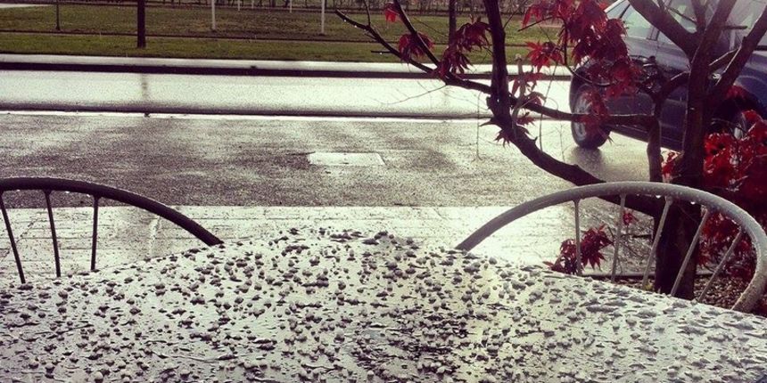 tucaprelog2014041509224342556