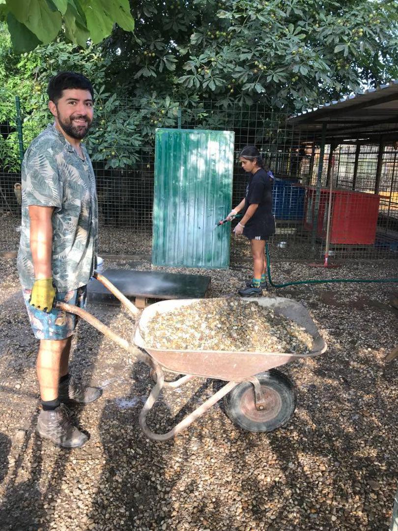 AZIL ‘PRIJATELJI’ ČAKOVEC Volonteri su im velika pomoć u skloništu, a stižu i iz Čilea