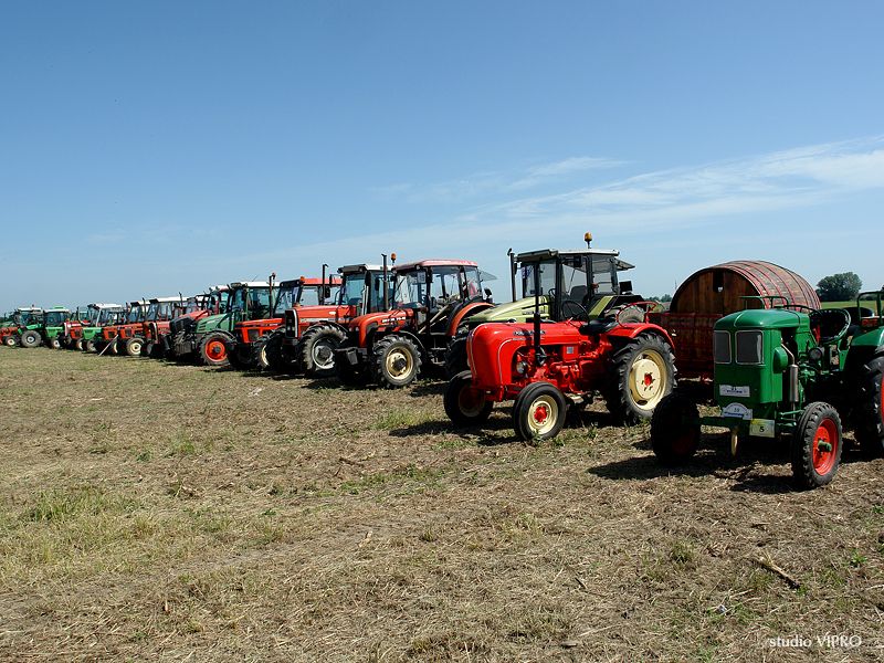 353915389dsc06273263791