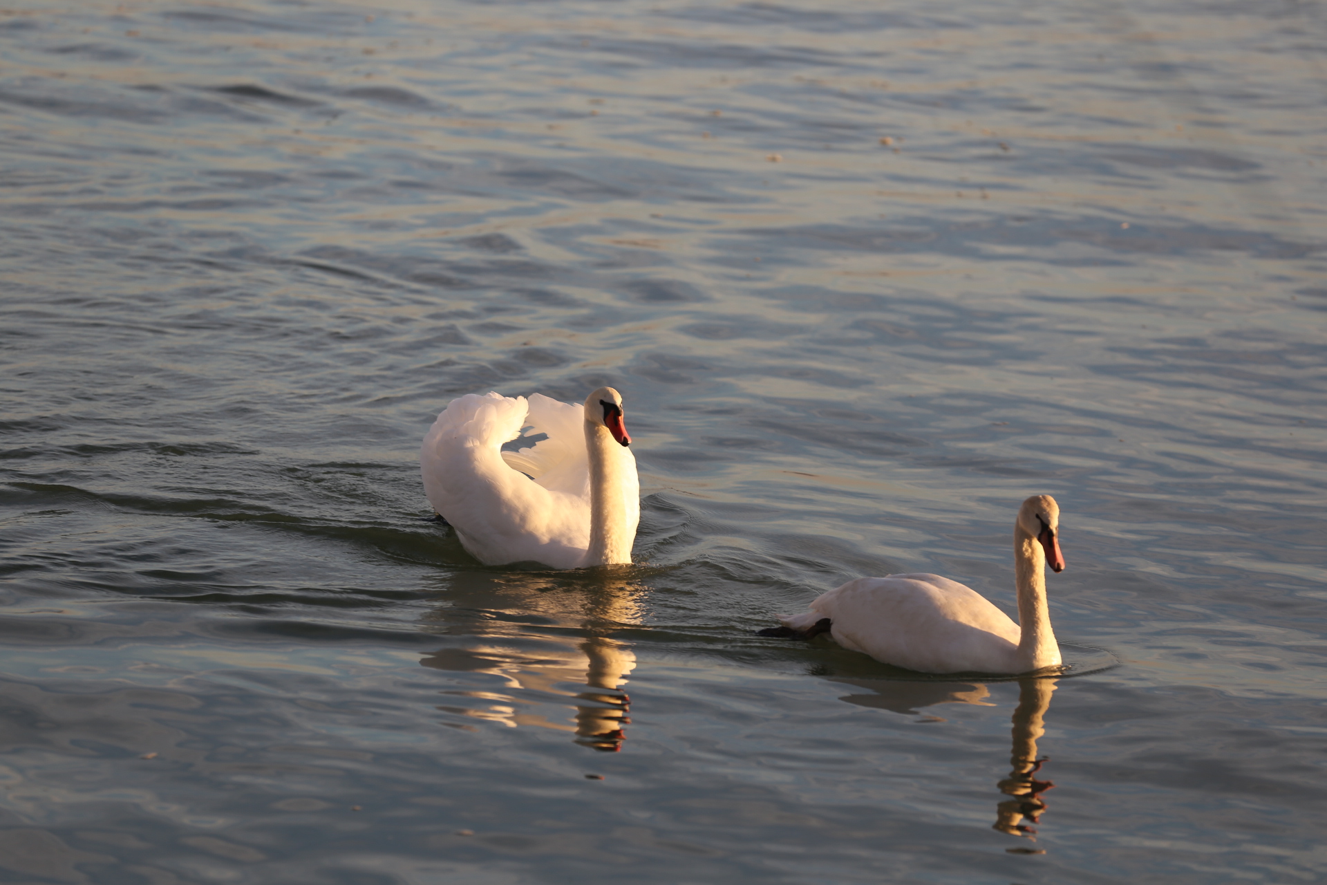 Klikom po Marini (nedjelja, 19.11.2023.)