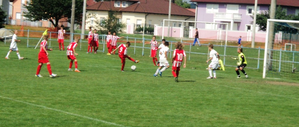 dsc02413278737