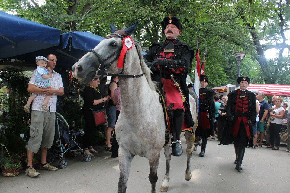 1053734110203787888594635385476