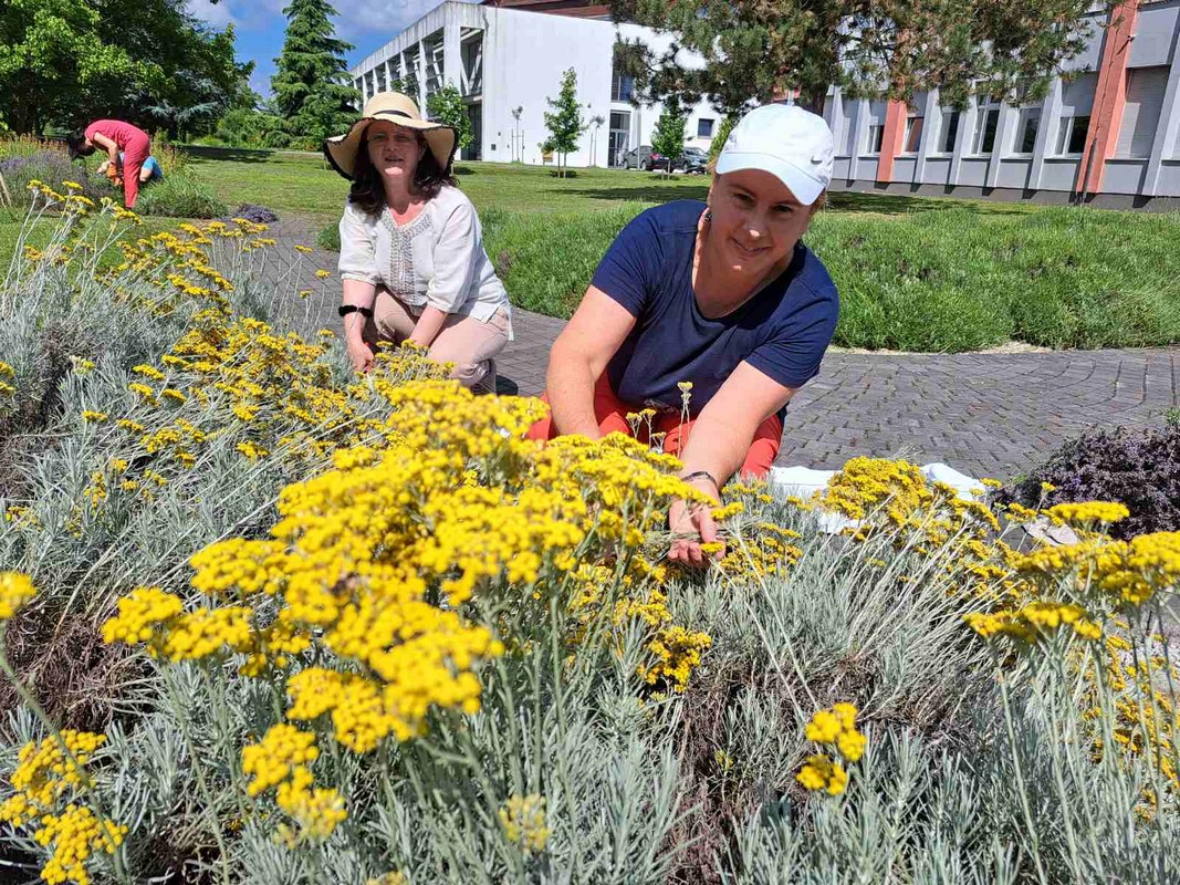 Mirisni vrt ETŠ Čakovec