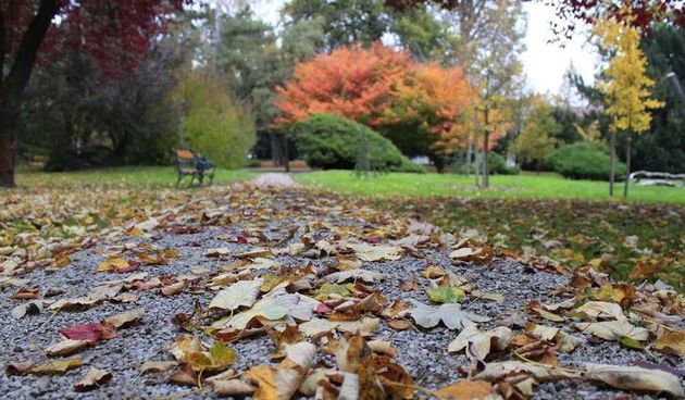 jesenliscepark213859