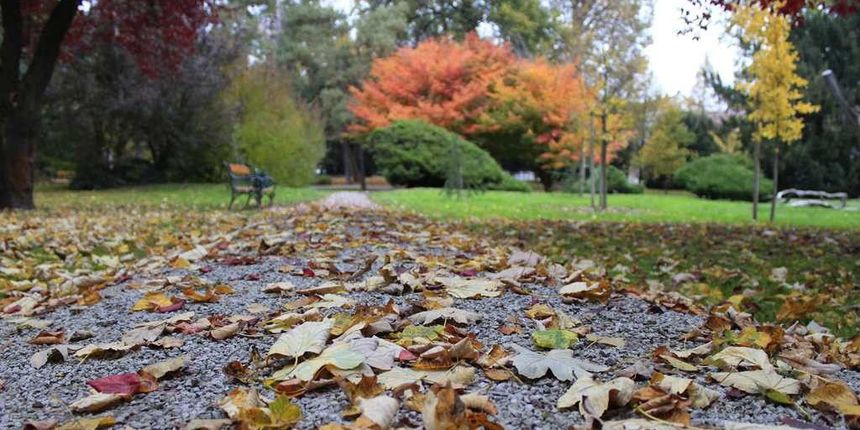 jesenliscepark213859