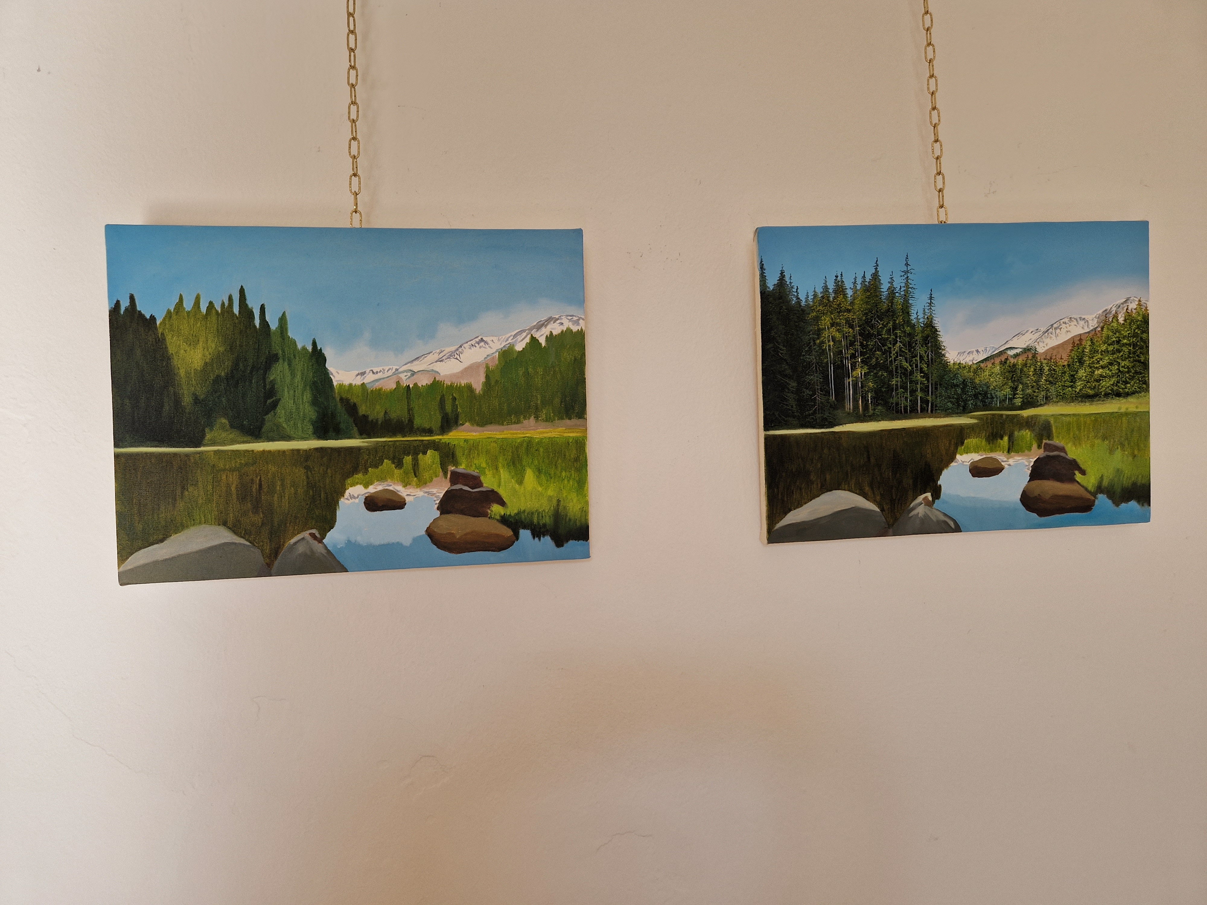 Svijet boja Branke Toplek