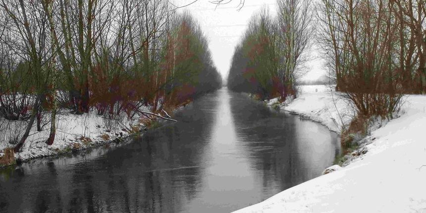 img20180227134409599501 img20180227134409599501