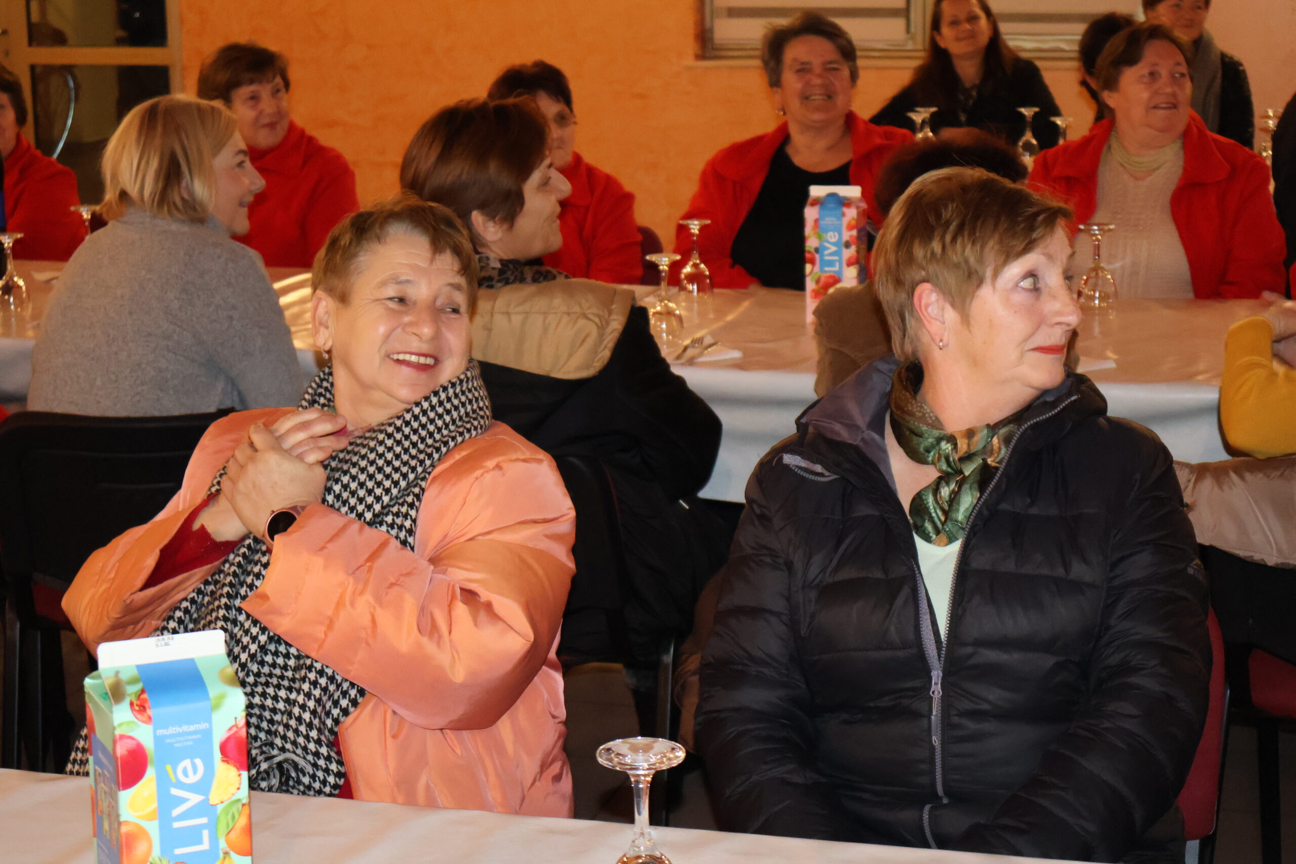 Skupština Udruge žena Štefanec