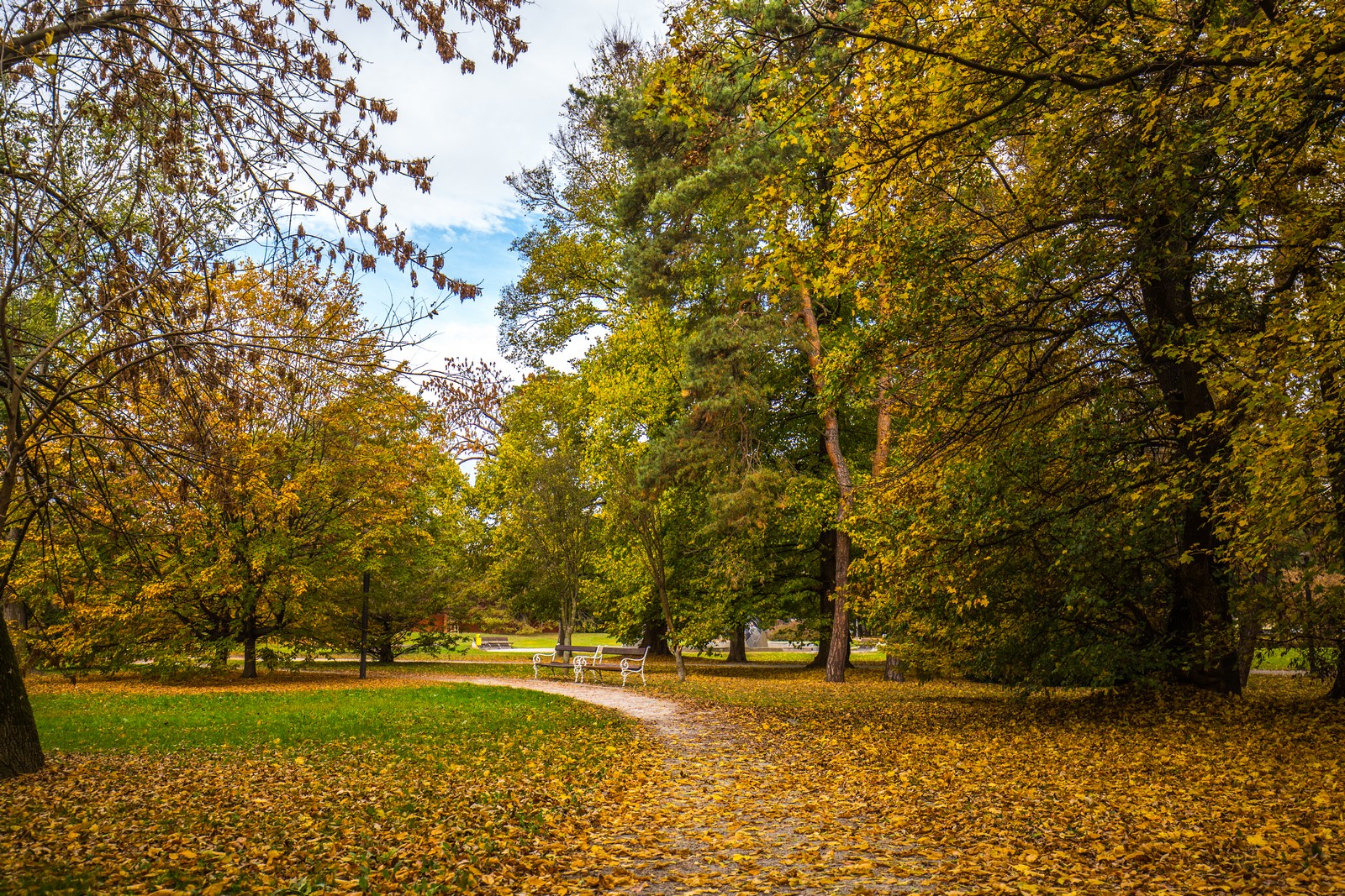 Čarobna jesen: Naša Miroslava Novak prošetala je čakovečkim parkom i snimila šarenilo jesenskih boja. Predivno, zar ne? (y) :-)