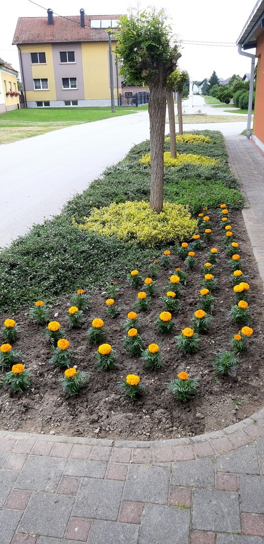Članice udruge Brest cvijećem ukrasile svoj Podbrest