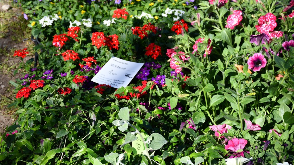 Proljetne temperature izmamile brojne posjetitelje na sajam u Čakovcu