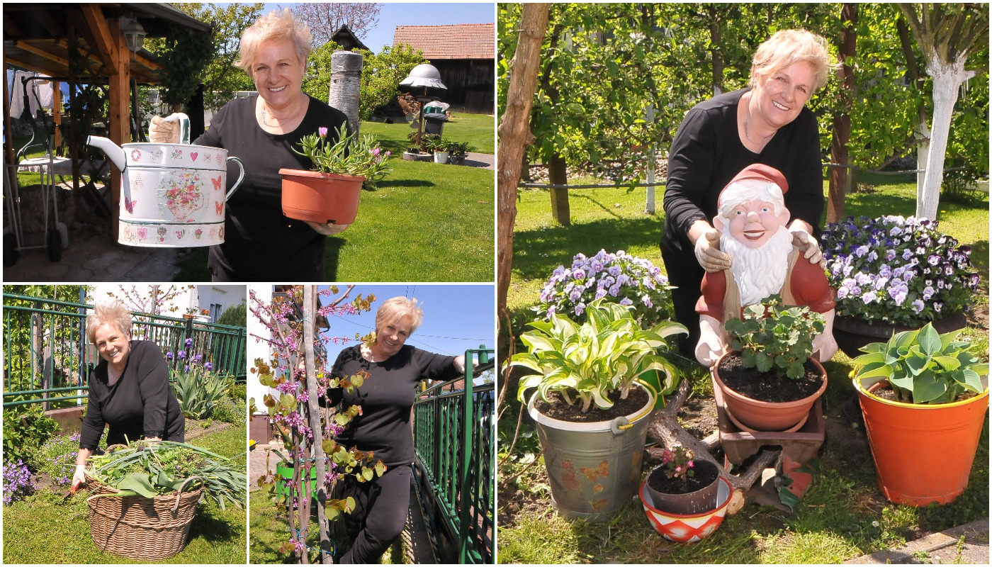 U dvorištu Božice Balent: ‘Moje cvijeće je moja sloboda’