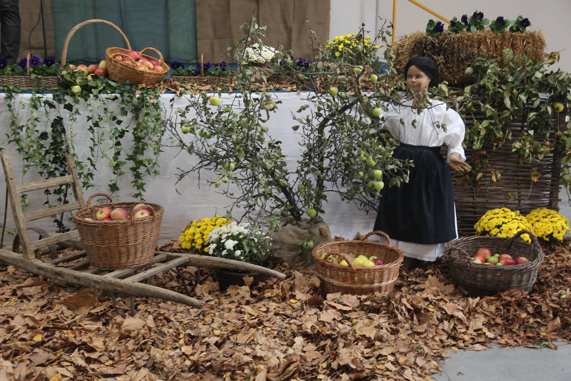 Dani zahvalnosti u Nedelišću