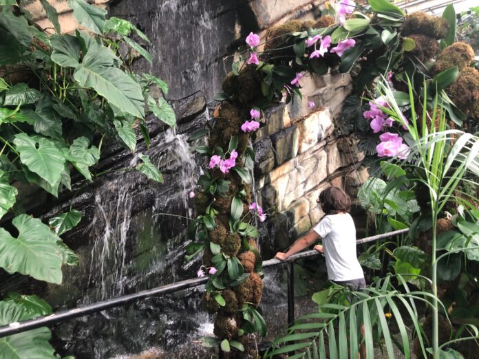 Image 5818421 (auto)