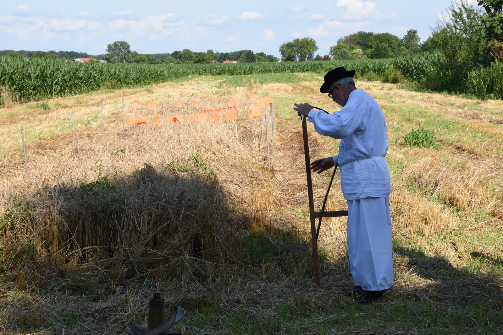 Mamičina žetva u Pušćinama